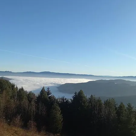 Zlatna Jabuka * Prijepolje