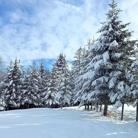Zlatna Jabuka * Prijepolje