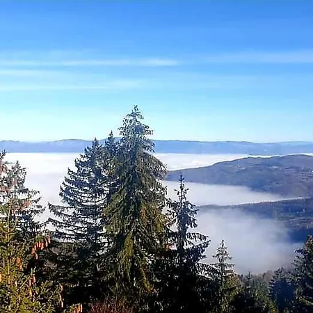 Zlatna Jabuka Daire *